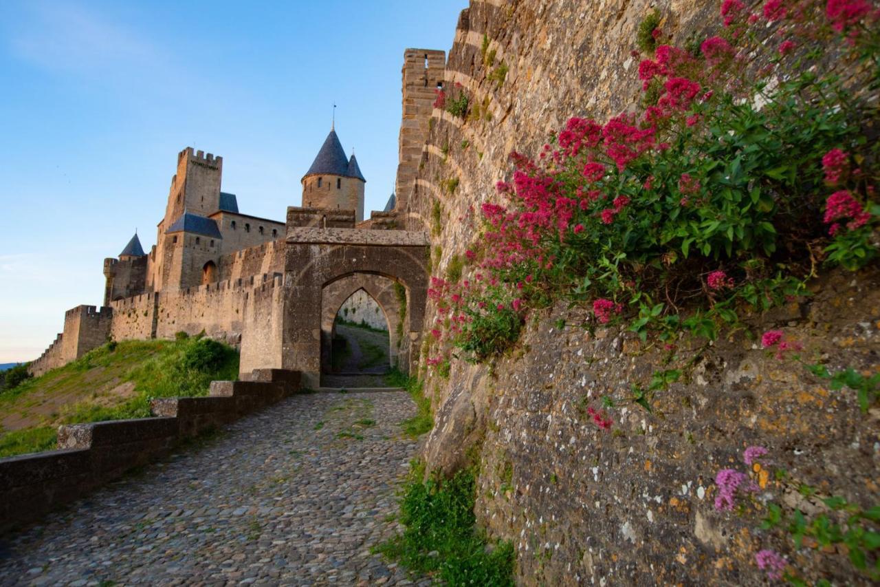Tout Confort ! Climatisation, Centre-Ville, Parking, Terrasse, Wifi, Netflix Carcassone Exterior photo