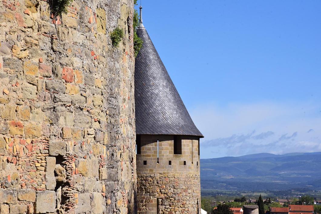 Tout Confort ! Climatisation, Centre-Ville, Parking, Terrasse, Wifi, Netflix Carcassone Exterior photo