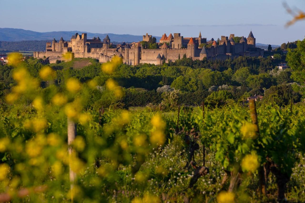 Tout Confort ! Climatisation, Centre-Ville, Parking, Terrasse, Wifi, Netflix Carcassone Exterior photo